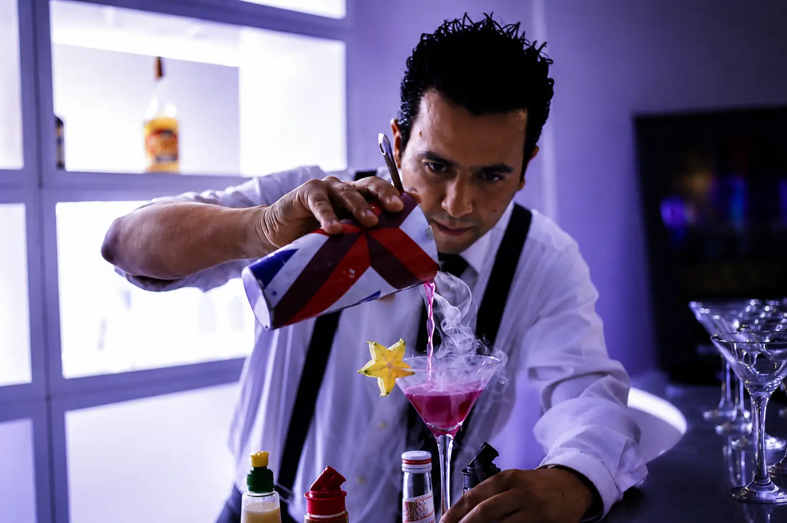 Mobile bartender mixology service for family reunion in Hollywood FL